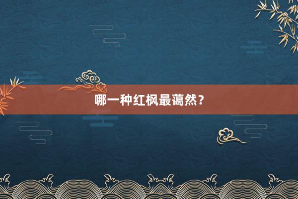 哪一种红枫最蔼然？