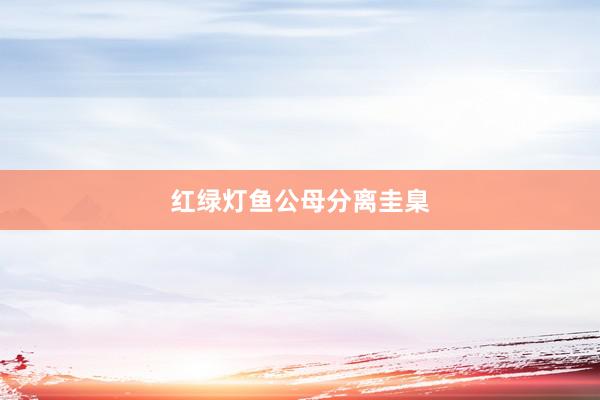 红绿灯鱼公母分离圭臬