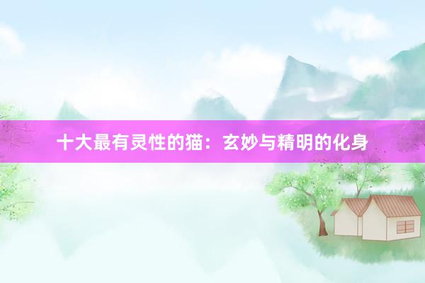 十大最有灵性的猫：玄妙与精明的化身